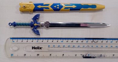 Man sentenced to prison for carrying 6-inch replica Zelda sword