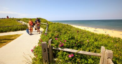 Best coastal hotels to visit in the US - The Points Guy