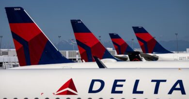 Delta apologizes for post disparaging attendants’ Palestinian flag pins