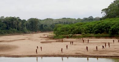 A rarely seen Amazon tribe emerges from rainforest as loggers move in