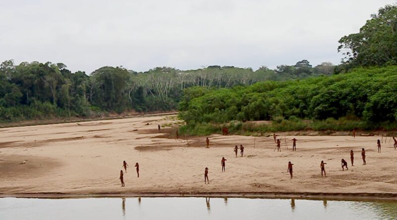 A rarely seen Amazon tribe emerges from rainforest as loggers move in