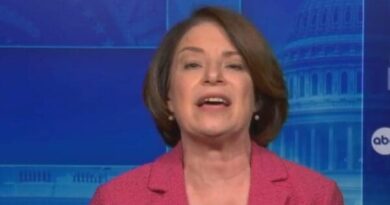 Amy Klobuchar Shuts Down The Media Nonsense About Kamala Harris Not Holding A News Conference